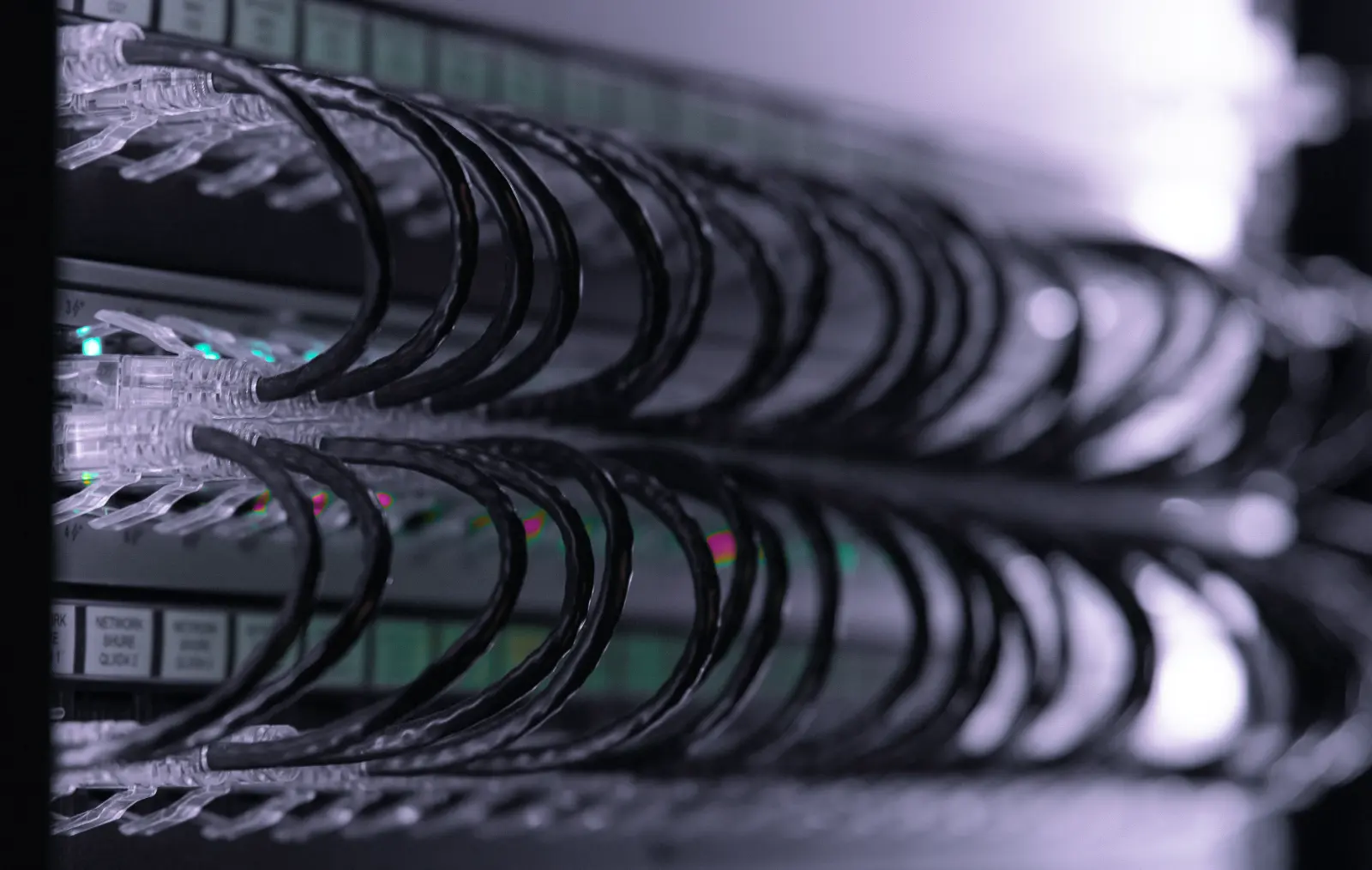 Nexteras team i samarbete kring digital strategi